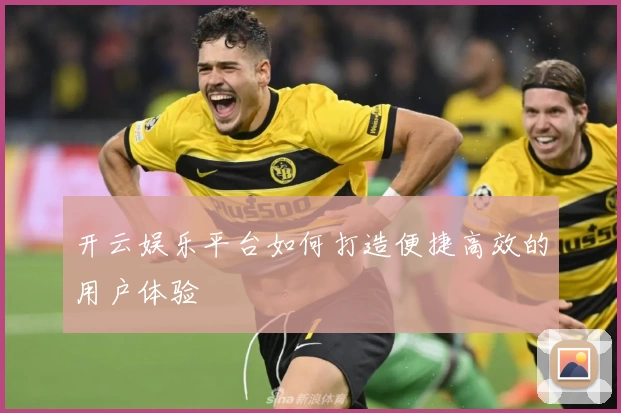 开云娱乐平台如何打造便捷高效的用户体验