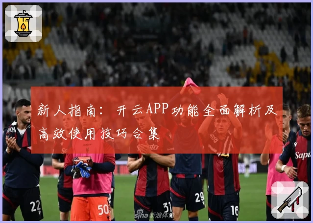 新人指南：开云APP功能全面解析及高效使用技巧合集